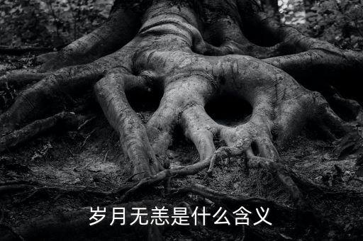 aapl是什么意思，PRQ是什么意思