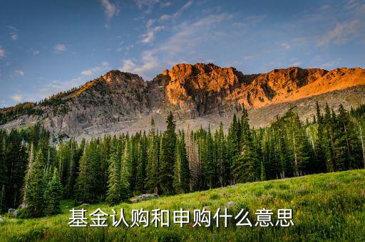 基金認(rèn)申購(gòu)什么意思，基金中的認(rèn)購(gòu)是什么意思