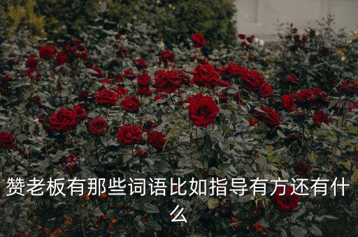 什么成語能夠形容房地產(chǎn)老板，贊老板有那些詞語比如指導(dǎo)有方還有什么