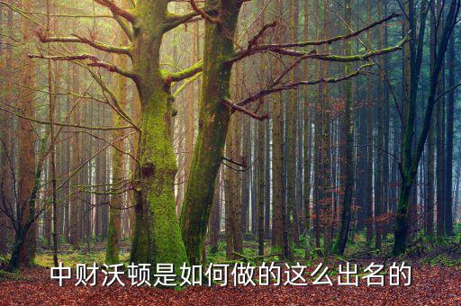 中財(cái)沃頓是做什么的，大家有沒(méi)有做過(guò)中財(cái)沃頓的理財(cái)投資這公司是做什么產(chǎn)品的
