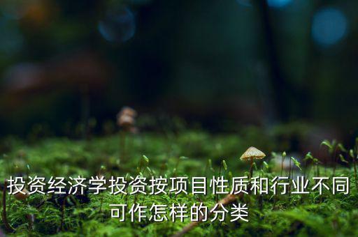 什么是公共消費(fèi)性投資，如何理解消費(fèi)投資