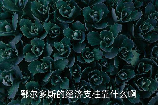 為什么鄂爾多斯經(jīng)濟(jì)發(fā)展，鄂爾多斯市是什么原因讓其發(fā)展如此迅猛