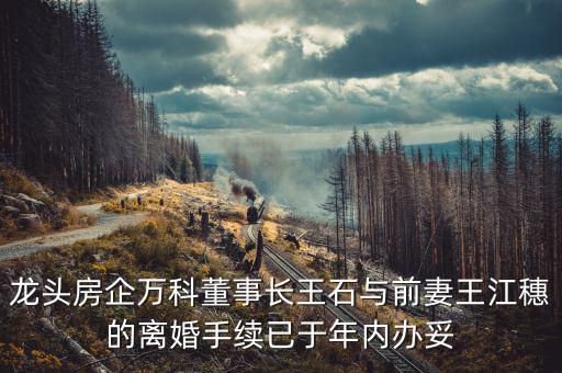 王石什么時候離婚的，龍頭房企萬科董事長王石與前妻王江穗的離婚手續(xù)已于年內(nèi)辦妥