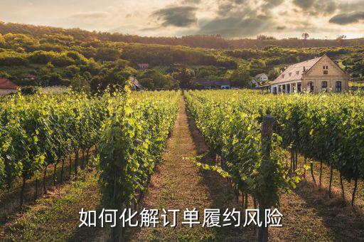 什么訂單執(zhí)行風(fēng)險(xiǎn)，淘寶訂單險(xiǎn)的問題