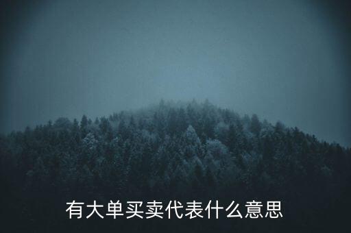 在買5成交有大單是什么意思，股票中大單是什么意思