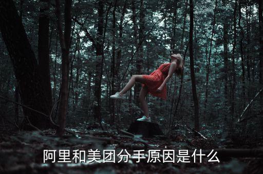 阿里和美團分手原因是什么