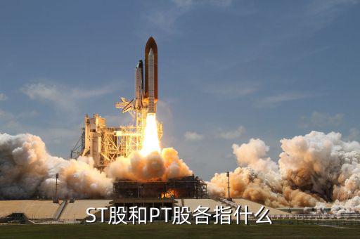 什么叫pt股，股票中PT股代表什么意思