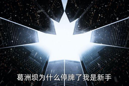 葛洲壩為什么停牌，葛洲壩為什么8月21日停牌