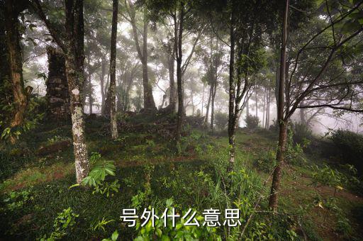 基金號(hào)外是什么意思，號(hào)外是什么意思