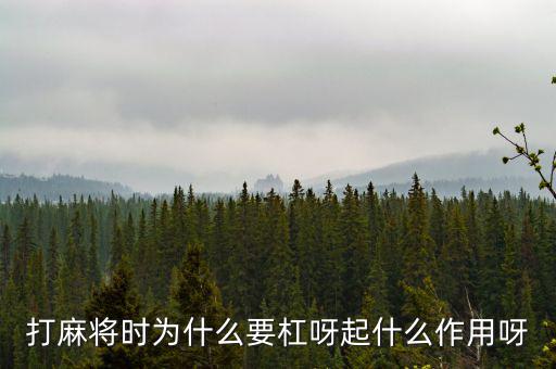 為什么要用杠桿，為什么有些杠桿要設(shè)計(jì)成費(fèi)力的呢