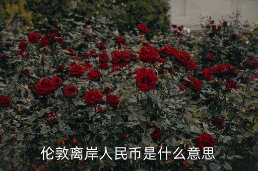 離岸人民幣是什么意思，在岸人民幣和離岸人民幣是什么意思