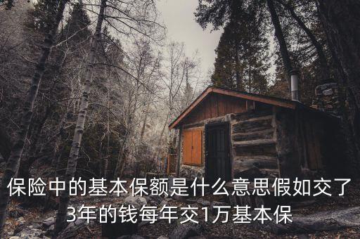基本保額是什么意思，基本保險金額是什么意思