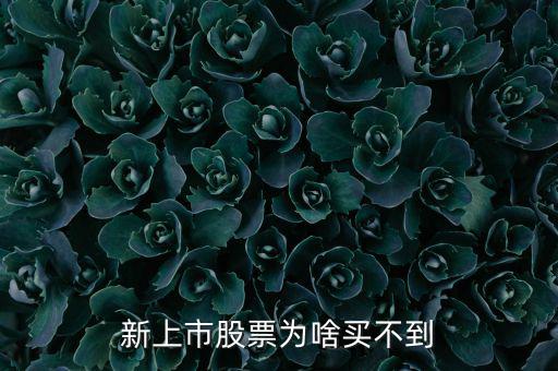 為什么新股我總買不到，新上市股票為啥買不到
