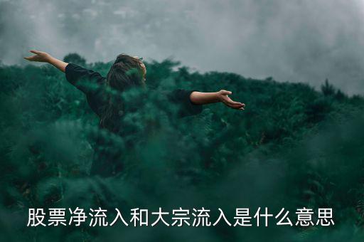 股票大宗流入是什么意思，股票凈流入額大宗流入什么意思