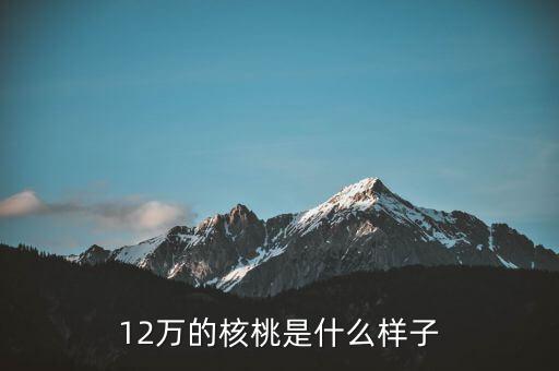 36萬(wàn)核桃長(zhǎng)什么樣，大家看這個(gè)核桃做的怎樣值多少
