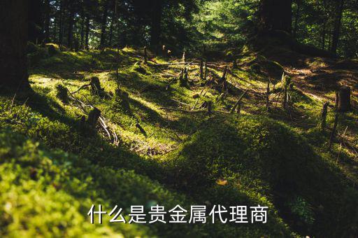 什么是貴金屬代理商