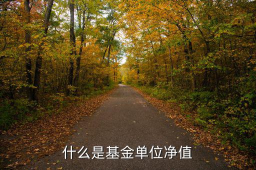 基金中什么是單位凈值，什么是基金單位凈值