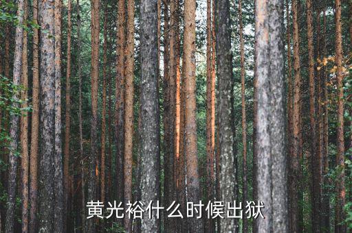 黃光裕什么時候出獄，黃光裕什么時候出獄