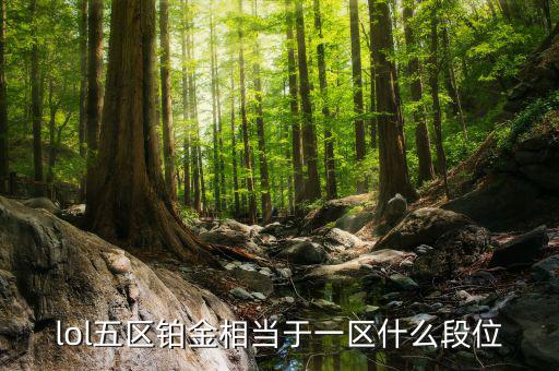 鉑金三什么水平，鉑金純度有幾個(gè)檔次