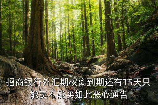 為什么不能購(gòu)買招商銀行期權(quán)，招商銀行外匯期權(quán)怎么了獲利200點(diǎn)還賠錢
