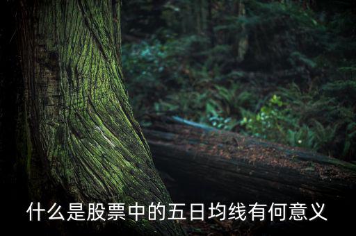 5日均線有什么用，什么是股票中的五日均線有何意義