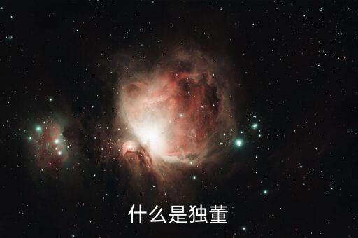 為什么董建華獨(dú)董，我國(guó)上市公司的獨(dú)立董事的來(lái)源主要有哪些