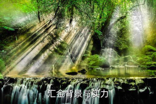 江蘇匯金控股什么背景，匯金公司是怎么回事