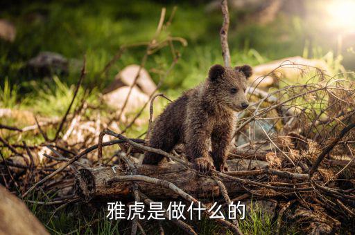 雅虎是做什么的，雅虎是干什么的