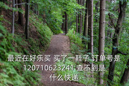 好樂買發(fā)什么快遞，我在好樂買用網(wǎng)銀付款買了雙鞋子請(qǐng)問他們都用什么快遞發(fā)貨