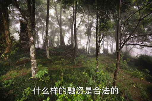 什么是合法的融資，什么是合法融資