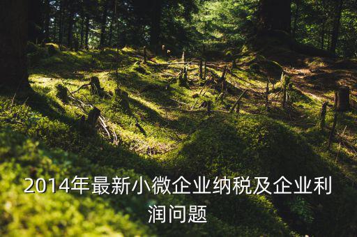 2014年最新小微企業(yè)納稅及企業(yè)利潤(rùn)問題