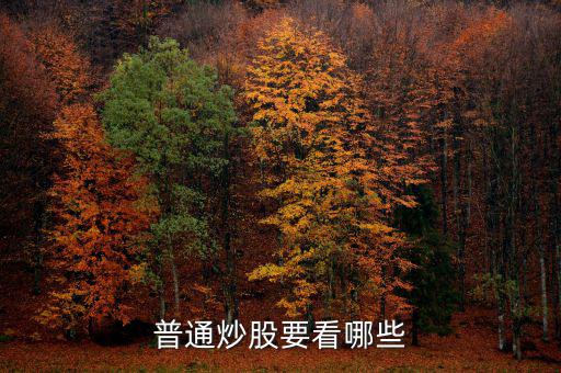 炒股每天都看什么，炒股究竟看什么怎么看