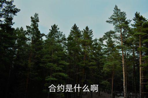 合約是什么意思，合約的意思是什么