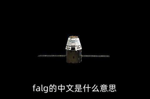 lfg什么意思，igi和lfg是什么意思