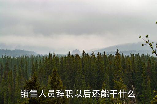 銷售人員辭職以后還能干什么