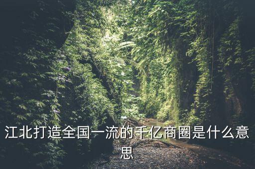 江北打造全國一流的千億商圈是什么意思
