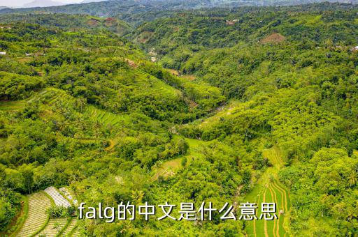 falg的中文是什么意思