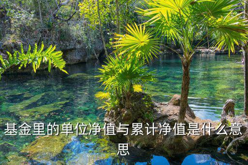 基金凈值和累計(jì)凈值是什么，基金里的單位凈值與累計(jì)凈值是什么意思