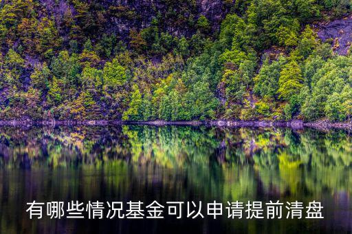 基金什么情況下清盤(pán)能有多少錢(qián)，基金在什么情況下有清盤(pán)的可能
