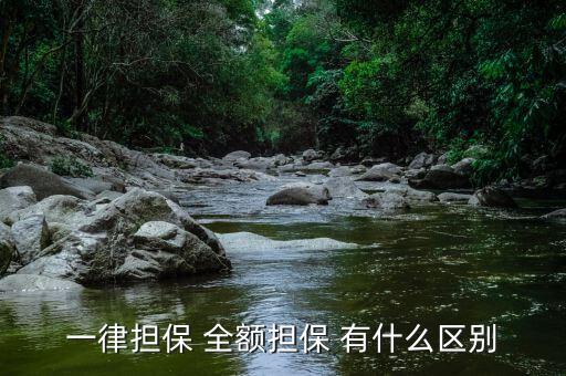 一律擔(dān)保 全額擔(dān)保 有什么區(qū)別