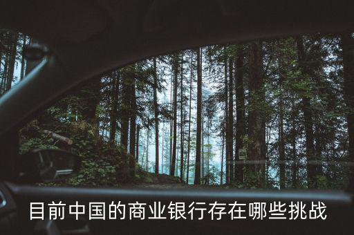 目前中國(guó)的商業(yè)銀行存在哪些挑戰(zhàn)