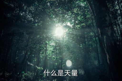 什么是天量