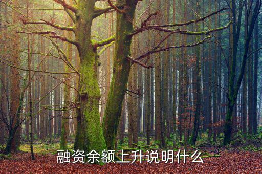 濰柴融資額度很高說明什么，融資余額上升說明什么