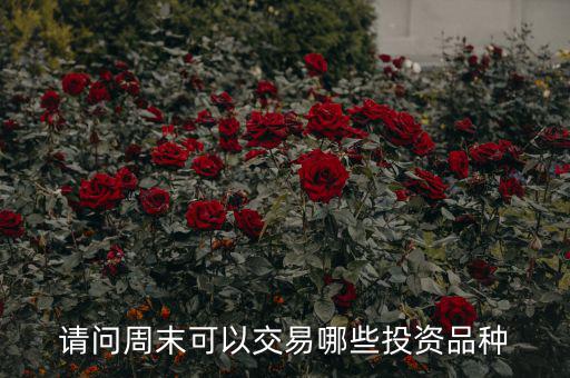 請(qǐng)問周末可以交易哪些投資品種