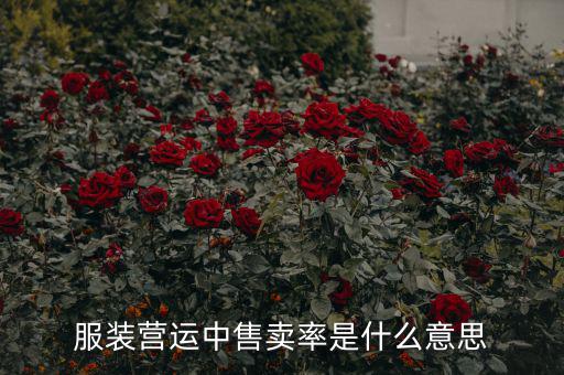 服裝營運(yùn)中售賣率是什么意思