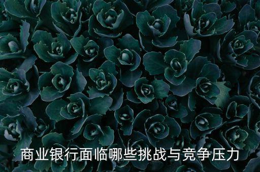 商業(yè)銀行面臨哪些挑戰(zhàn)與競(jìng)爭(zhēng)壓力