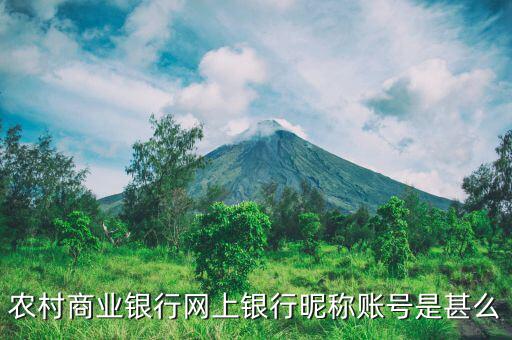 吳江農(nóng)村商業(yè)銀行用戶名是什么，銀行用戶名是什么