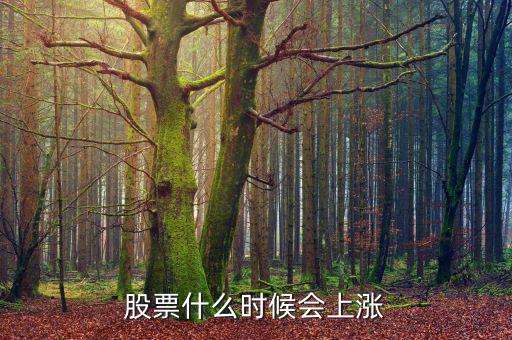 股票在什么情況下才會漲，股票什么時候會上漲