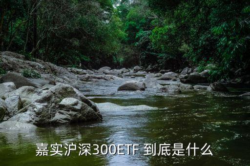 深證etf是什么，ETF 是什么意思
