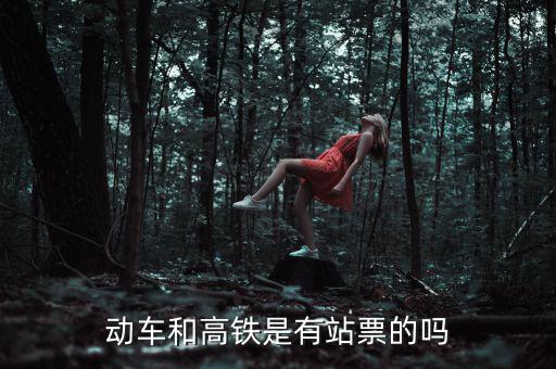 為什么高鐵沒有站票，為什么高鐵沒有站票